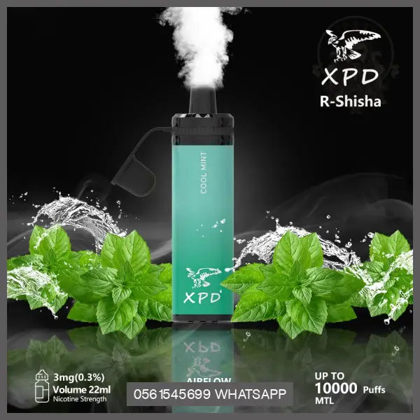 Xpd R Shisha 10000 Puffs Disposable Vape (Dl 3Mg) Cool Mint Disposable